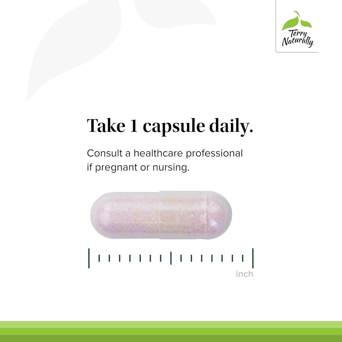 Terry Naturally BioActive Vitamin B - 60 – El funcionamiento normal del sistema inmunitario. – Image 4