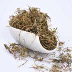 Lobelia Chinensis Ban Bian Lian (500g)