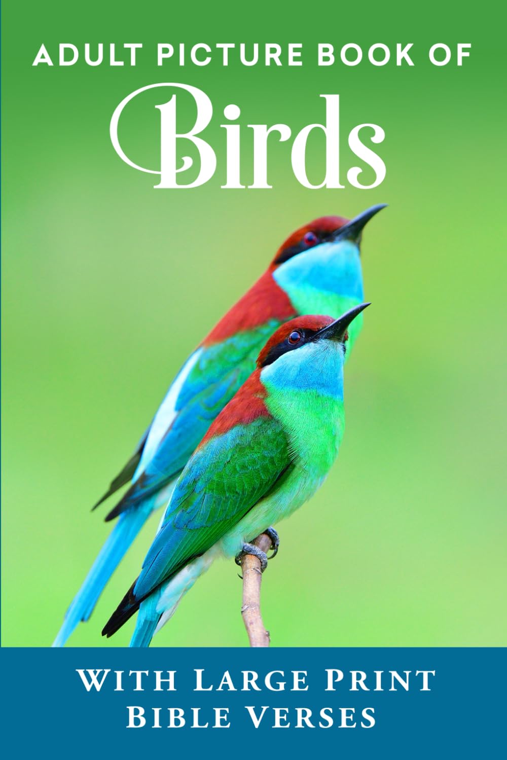 Libro de Aves para Adultos: Con Versículos Bíblicos en Letra Grande (Libros Cristianos para Personas Mayores con Demencia)