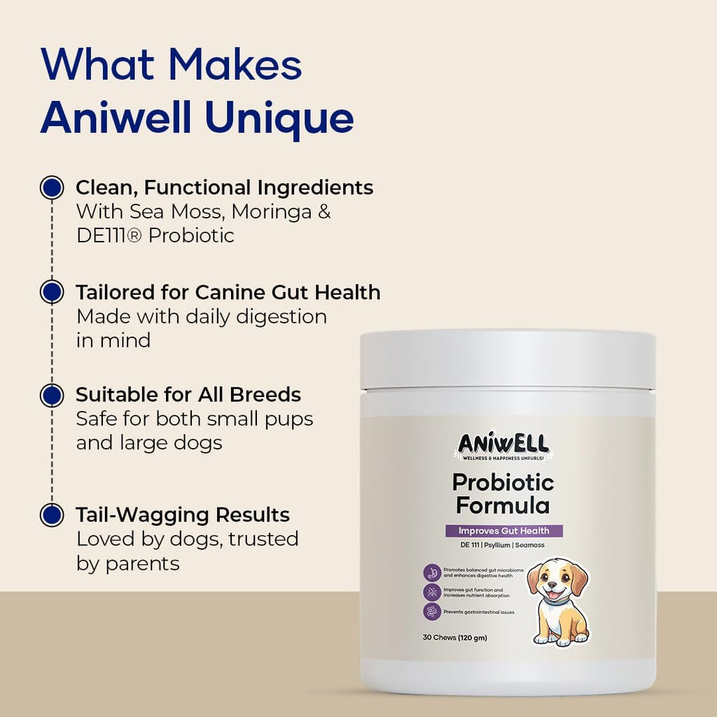 Probióticos para Perros Aniwell – Masticables Blandos con Tocoferoles Mixtos | Apoyo Digestivo y Alergias Estacionales