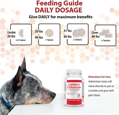 Suplemento de Arándano Rojo y D-Mannosa para el Tracto Urinario de Perros y Gatos – Apoyo para la Vejiga y la Salud de las – Image 4