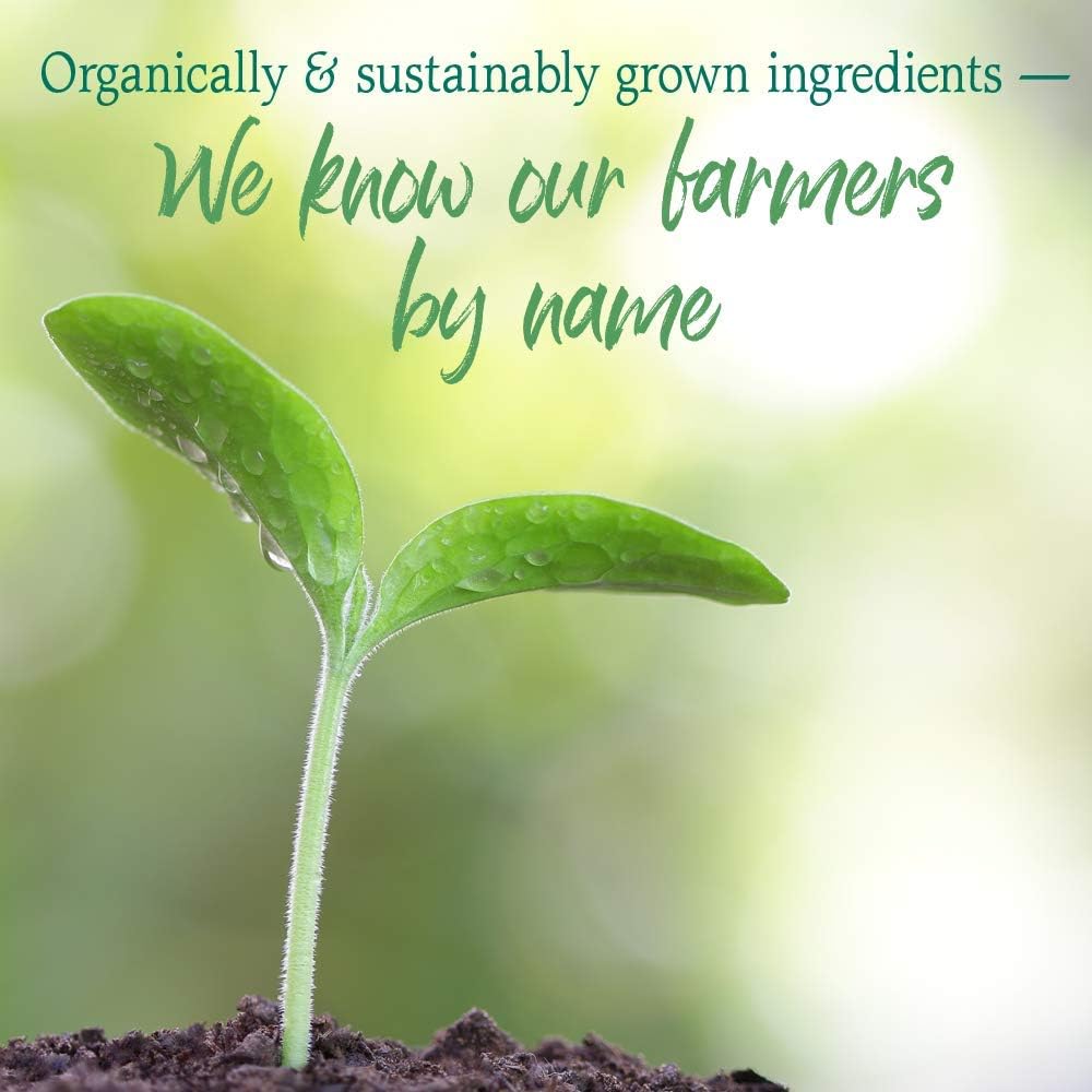 Garden of Life Raw Organic Perfect Food Energizer - Superfood Verde en Polvo Sabor Granada y Yerba Mate, 30 Raciones