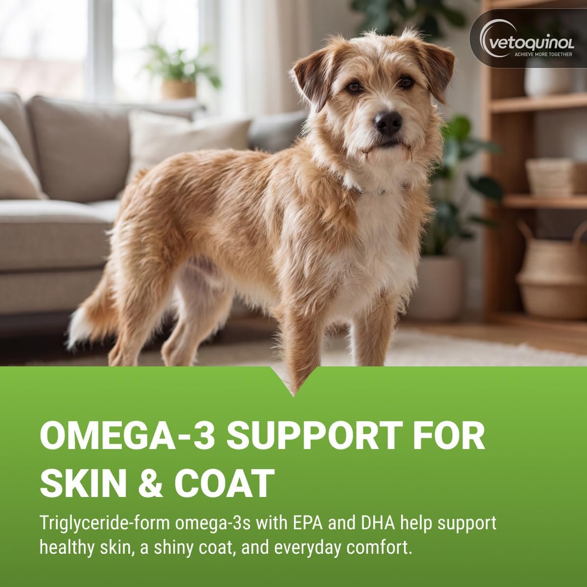 Vetoquinol Triglyceride Omega - Aceite de Pescado para Perros y Gatos - Favorece la Piel Saludable, el Pelaje y la Respuesta Inmunitaria Normal - Suplemento con Mezcla de Vitaminas para el Corazón, los Ojos, los Huesos y los Músculos - 8 oz (237 ml)
