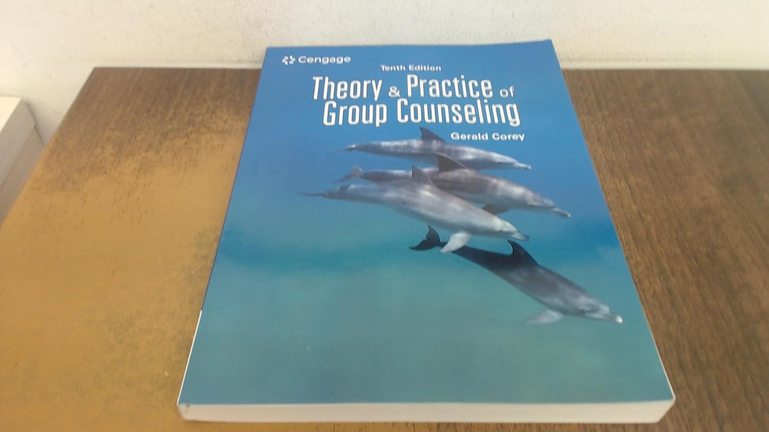 Teoría y Práctica de la Consejería de Grupo (MindTap Course List)
