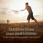 New Chapter Every Man's One Daily Multivitamin - 48 Comprimidos