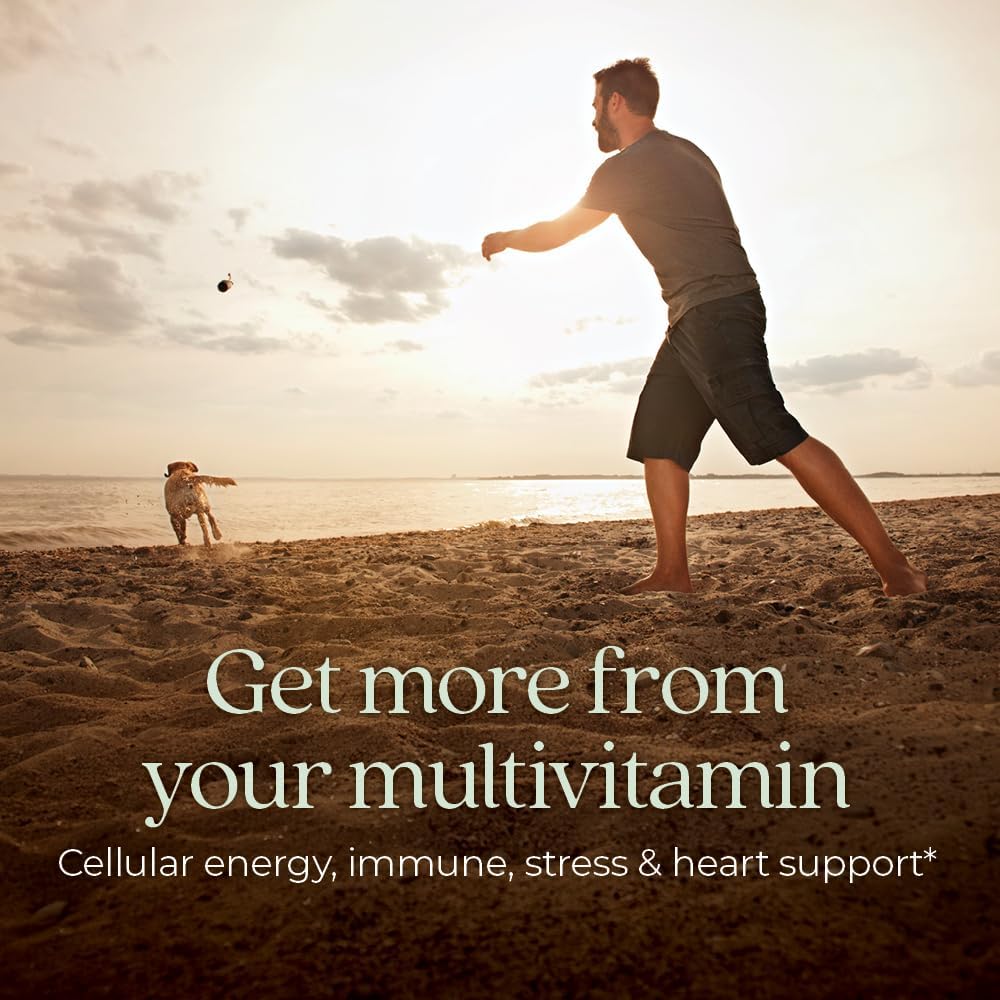 New Chapter Every Man's One Daily Multivitamin - 48 Comprimidos