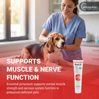 Vetoquinol Renal K - Suplemento de Potasio para Perros y Gatos - Gel Sabor Maple - 5 oz