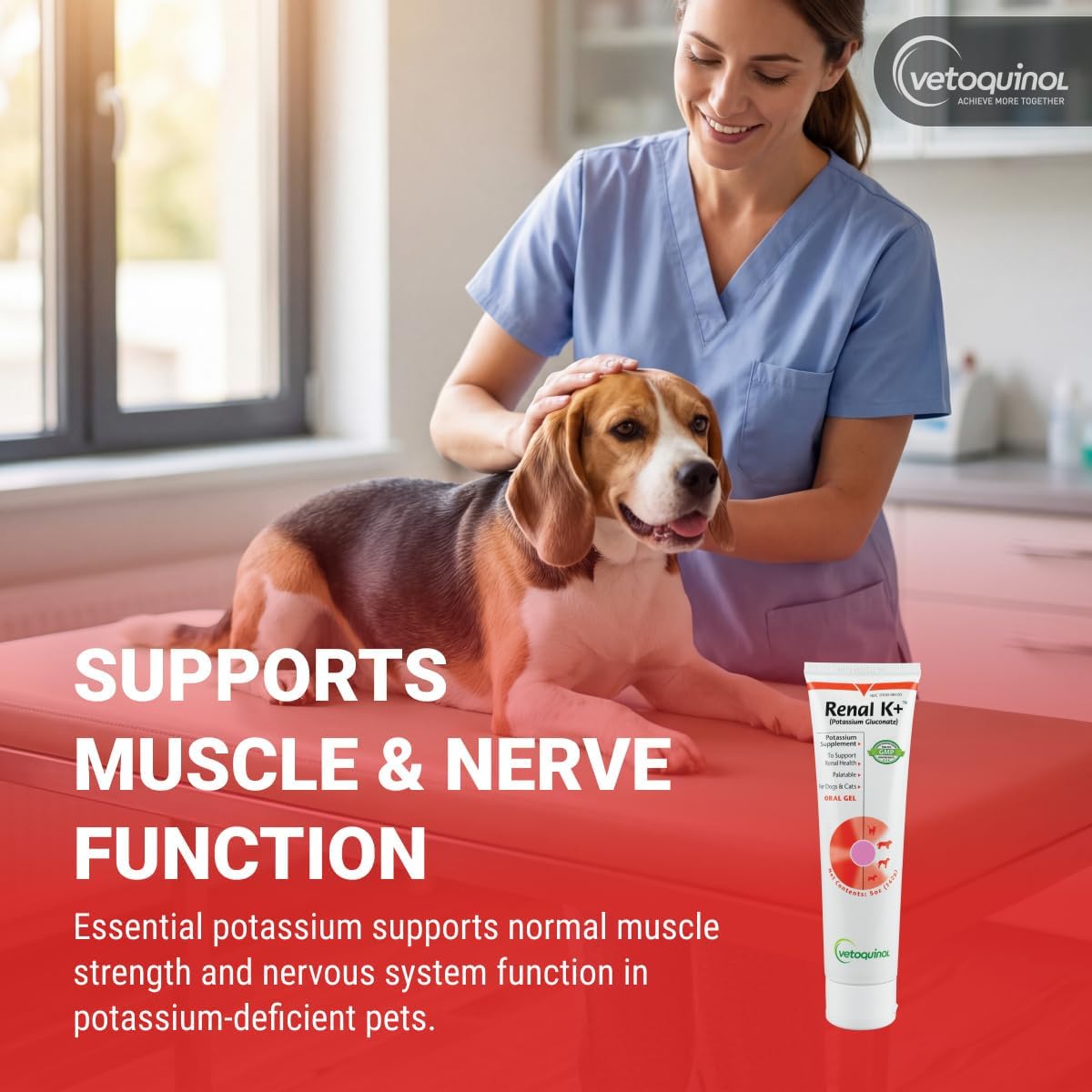 Vetoquinol Renal K - Suplemento de Potasio para Perros y Gatos - Gel Sabor Maple - 5 oz