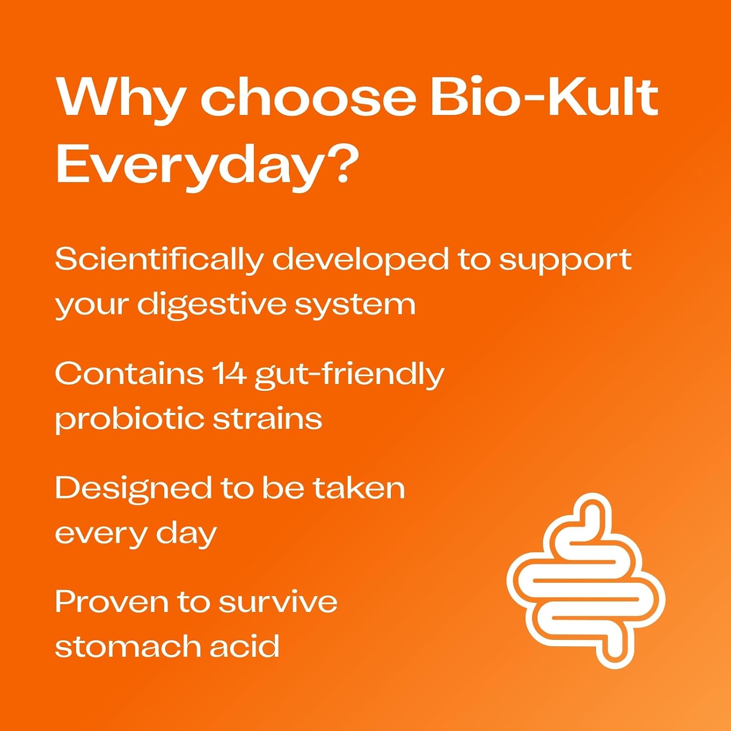 Bio-Kult Probiótico Salud Intestinal, 14 Cepas, 30 Cápsulas
