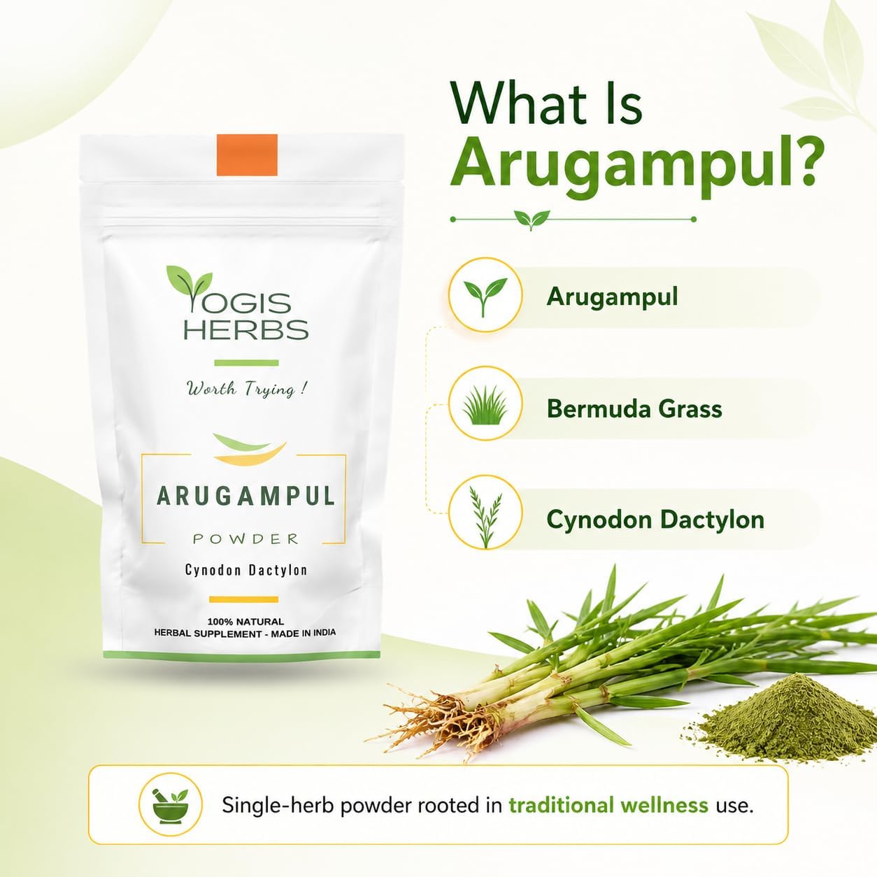 Polvo de Arugampul (Cynodon dactylon) - YOGIS HERBS - Hierba Tradicional Tamil