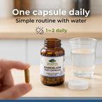 Pure Mountain Botanicals Cápsulas de Raíz de Diente de León - 450mg Orgánico - 90 Cápsulas Veganas Kosher Sin OGM