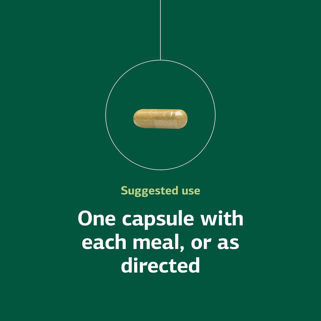 Standard Process Ostarplex – Complemento para tejido conectivo y salud hepática con vitamina B6 – 90 cápsulas