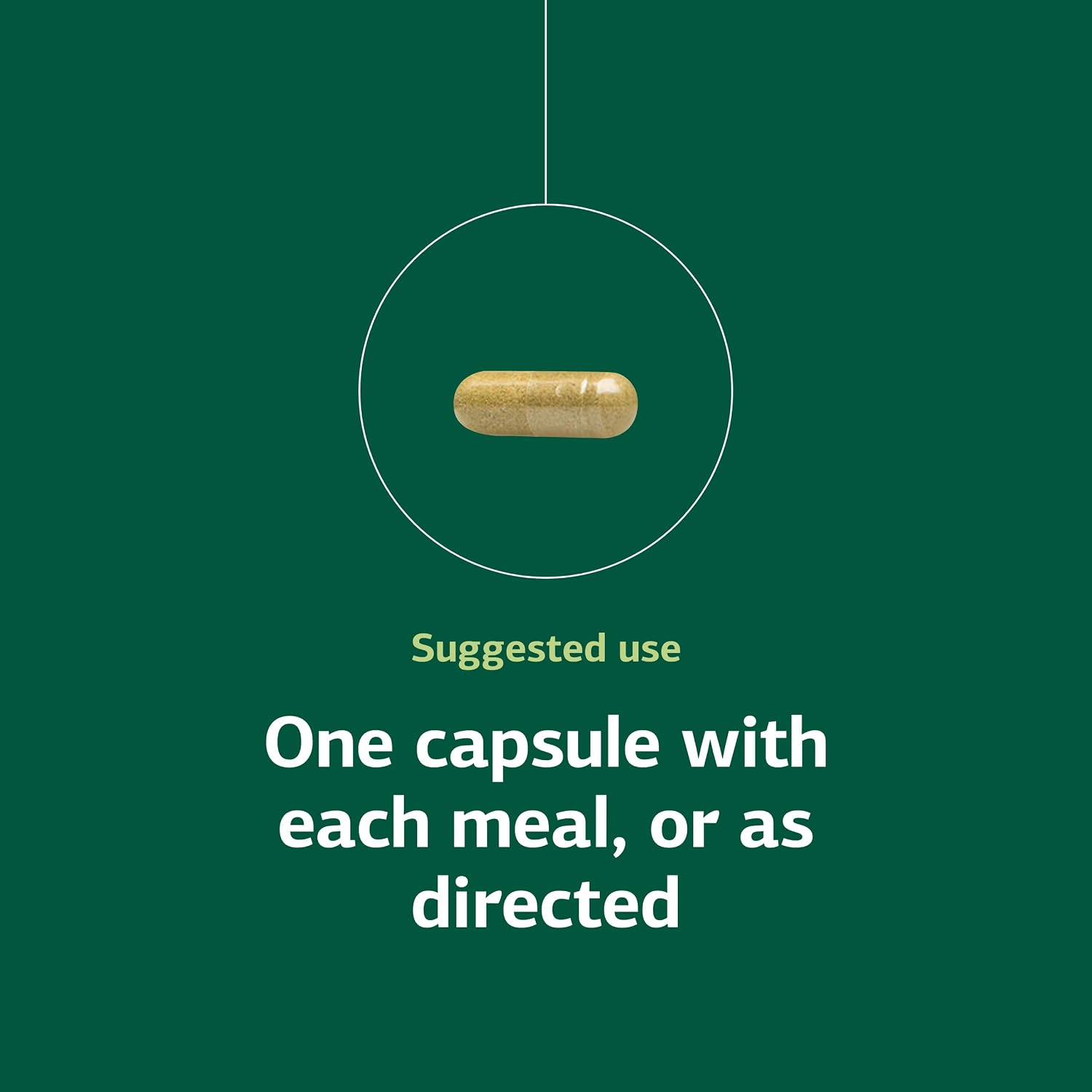 Standard Process Ostarplex – Complemento para tejido conectivo y salud hepática con vitamina B6 – 90 cápsulas