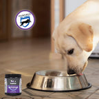 Suplemento Antioxidante Diario para Perros – 1000 Comprimidos con Superóxido Dismutasa, MSM, Selenio, Vitaminas C y E – Apoyo Inmunológico y Protección Celular