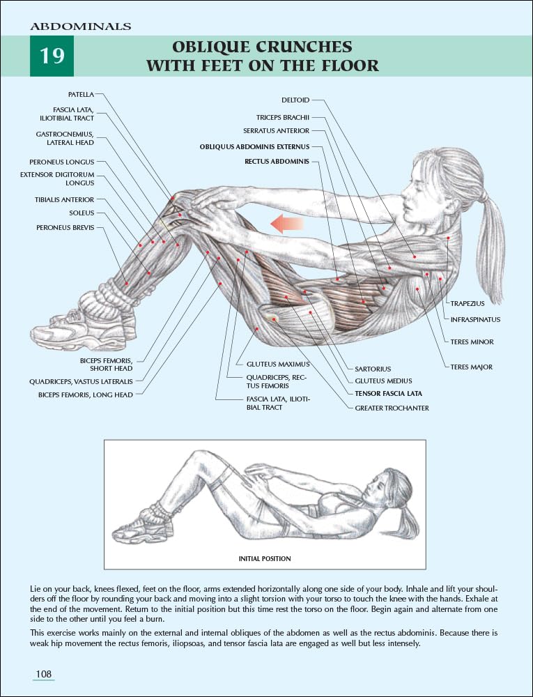 Anatomía del entrenamiento de fuerza para mujeres