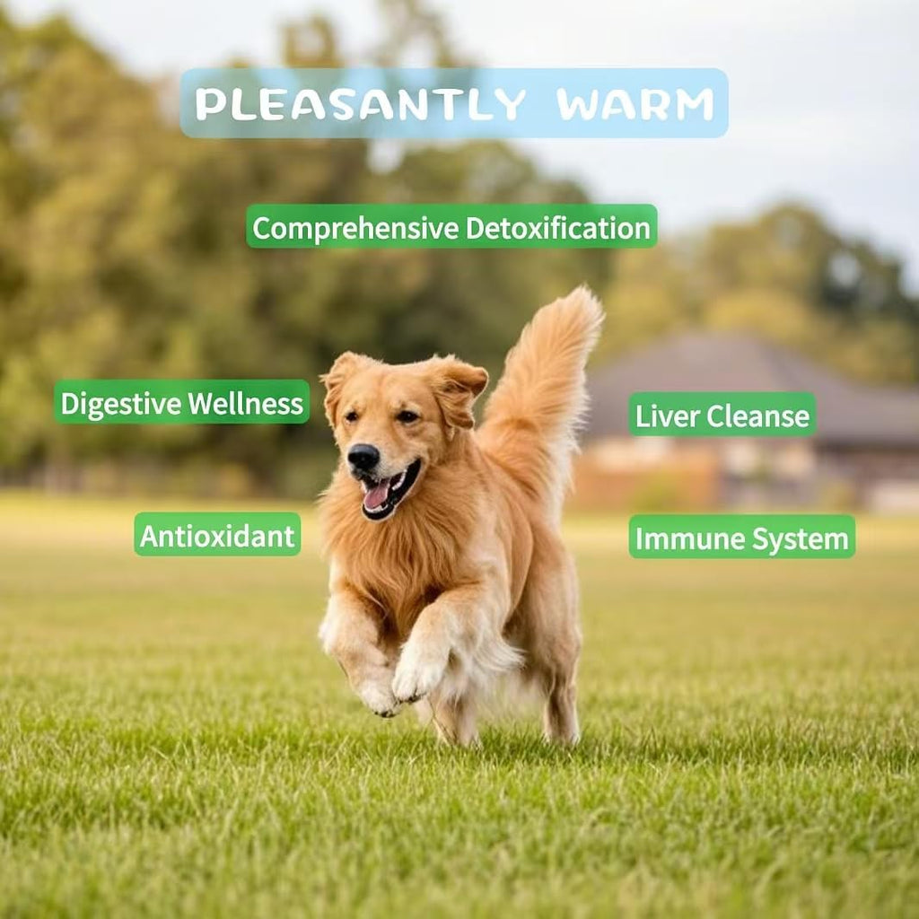 Polvo Detox de Zeolita Natural para Perros y Gatos – Pleasantly Warm – 311g