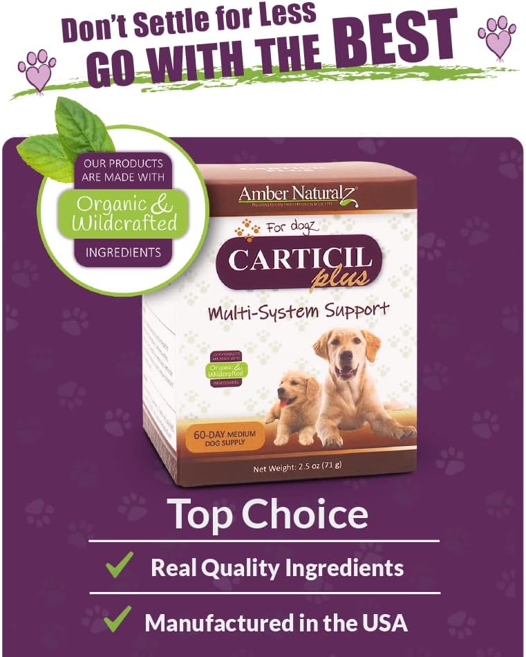 Amber NaturalZ Carticil Plus Suplemento Herbal para Perros - Apoyo Multisistémico (60 Días para Perros Medianos)