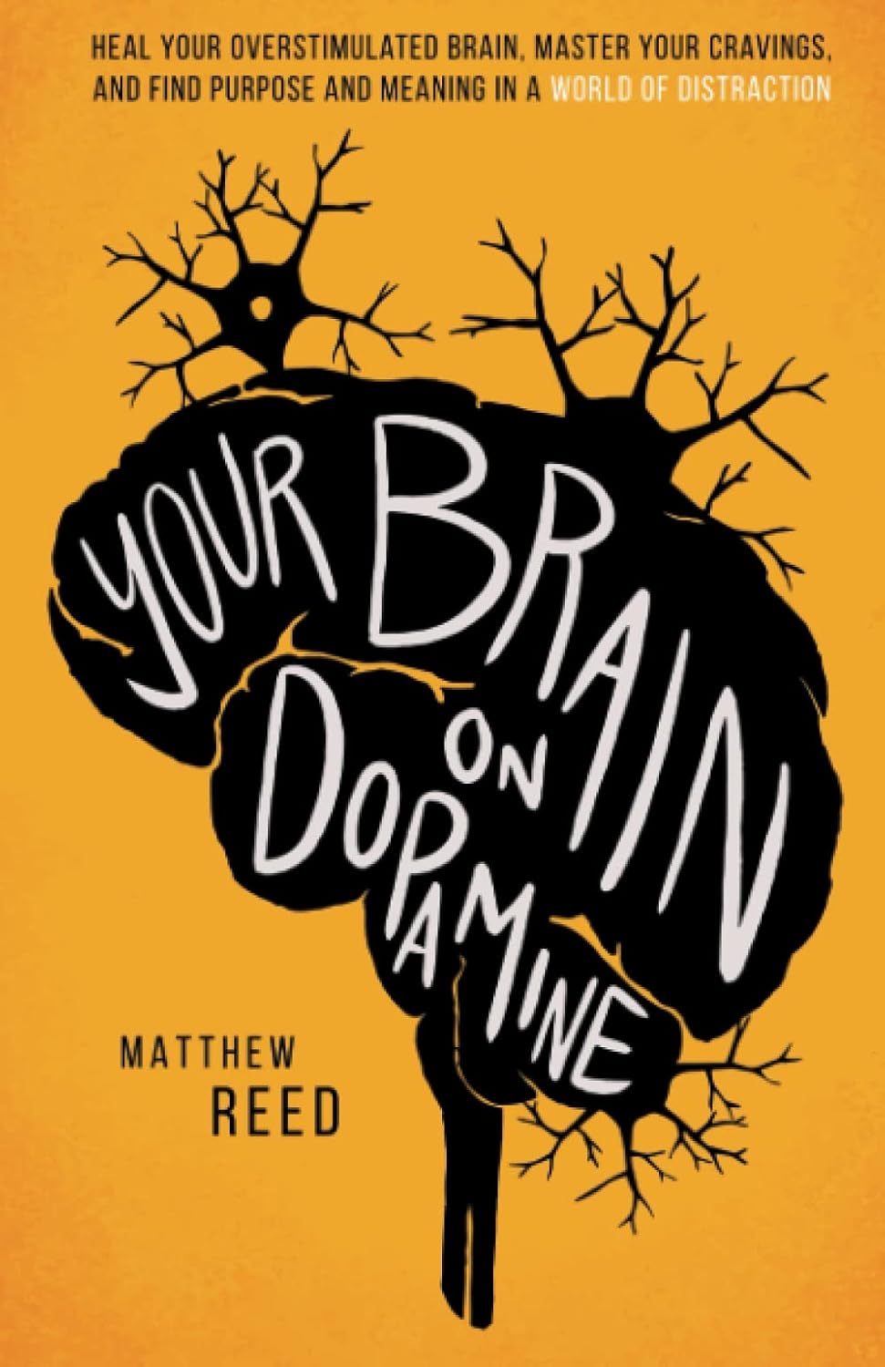 Your Brain on Dopamine: Heal Your – La ciencia de la dopamina y su impacto en el comportamiento. – Image 1