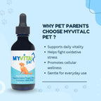 ESS60 Aceite de Oliva Virgen Extra Orgánico con Sabor Bacon para Perros - Complemento Alimenticio para Flexibilidad, Energía e Inmunidad (60 ml)