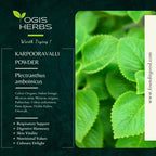 YOGIS HERBS Karpooravalli Herbal Powder - 100% Natural Supplement for Respiratory Support, Digestive Wellness, & Nutritional Boost (454 g)
