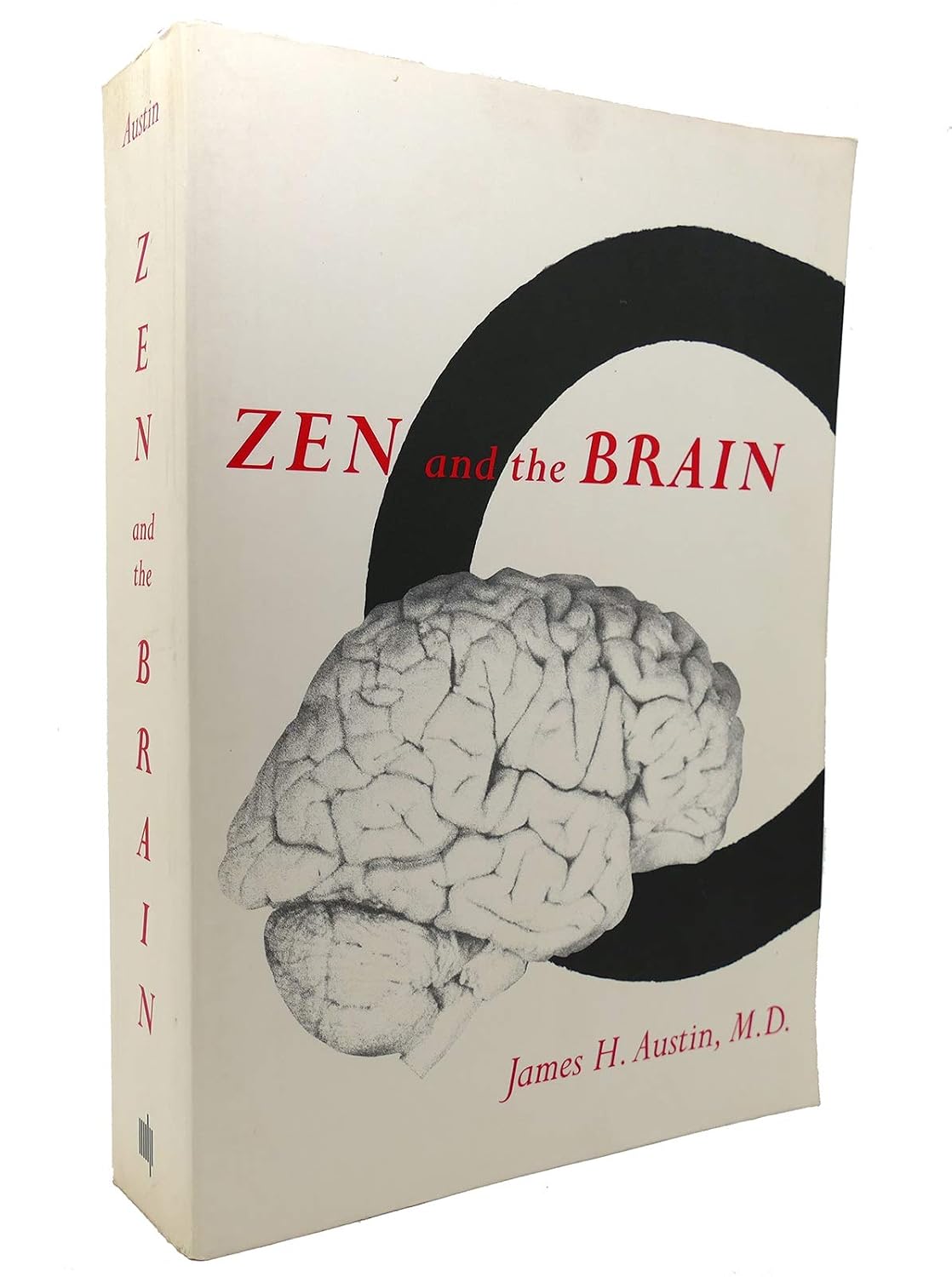 Zen y el cerebro: Hacia una comprensión de la meditación y la conciencia