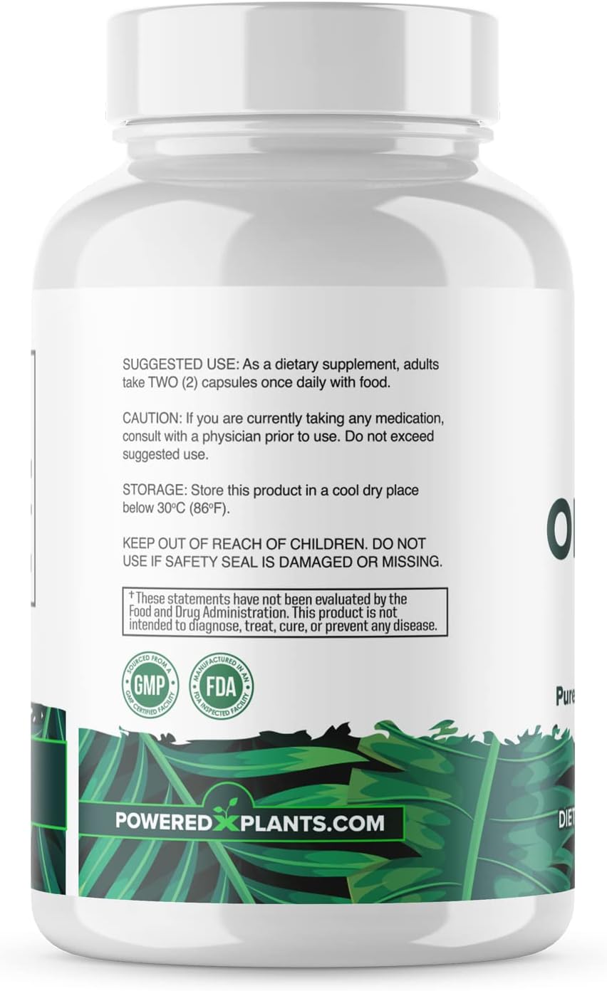Onion Bulb Extract 1000mg – Pure All Natural Onion (Allium Cepa) Dried Bulb – 120 Cápsulas