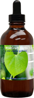 Extracto de Alchornea Cordifolia 4 oz (118 ml)