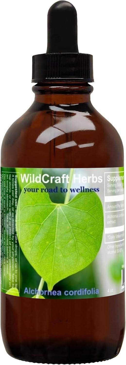 Extracto de Alchornea Cordifolia 4 oz (118 ml)