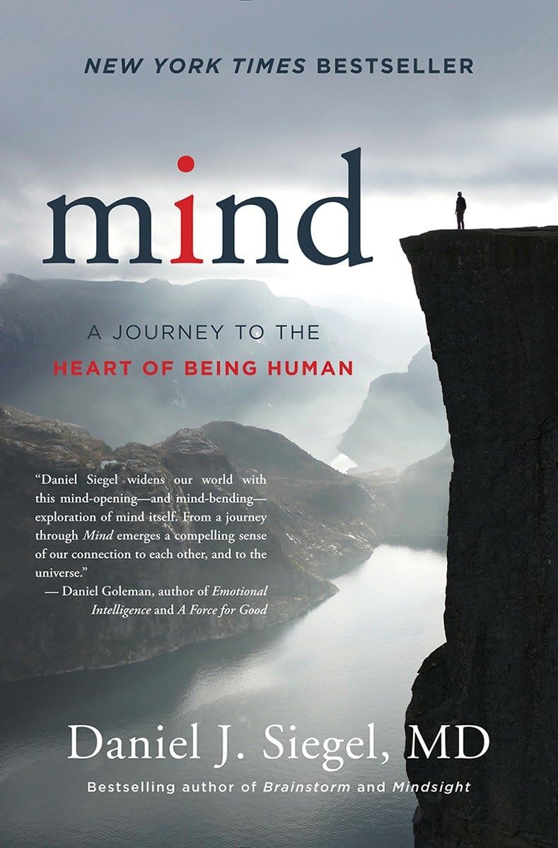 Mind: A Journey to the Heart of Being Human (Norton Series on Interpersonal Neurobiology) - görsel 1