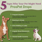 ProsPet Gotas para la Salud de la Próstata y Vejiga en Perros - Suplemento Herbal - 59 ml