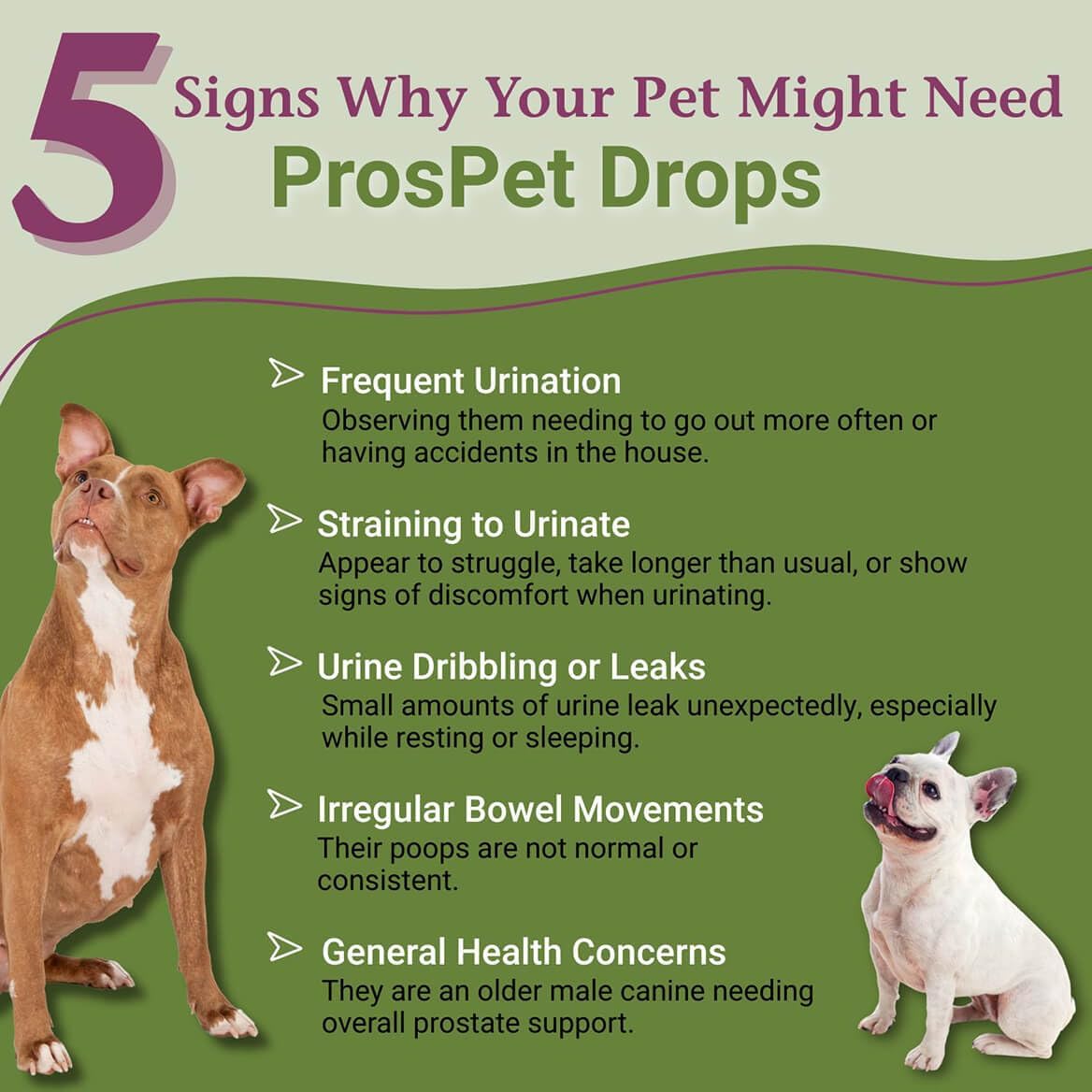 ProsPet Gotas para la Salud de la Próstata y Vejiga en Perros - Suplemento Herbal - 59 ml