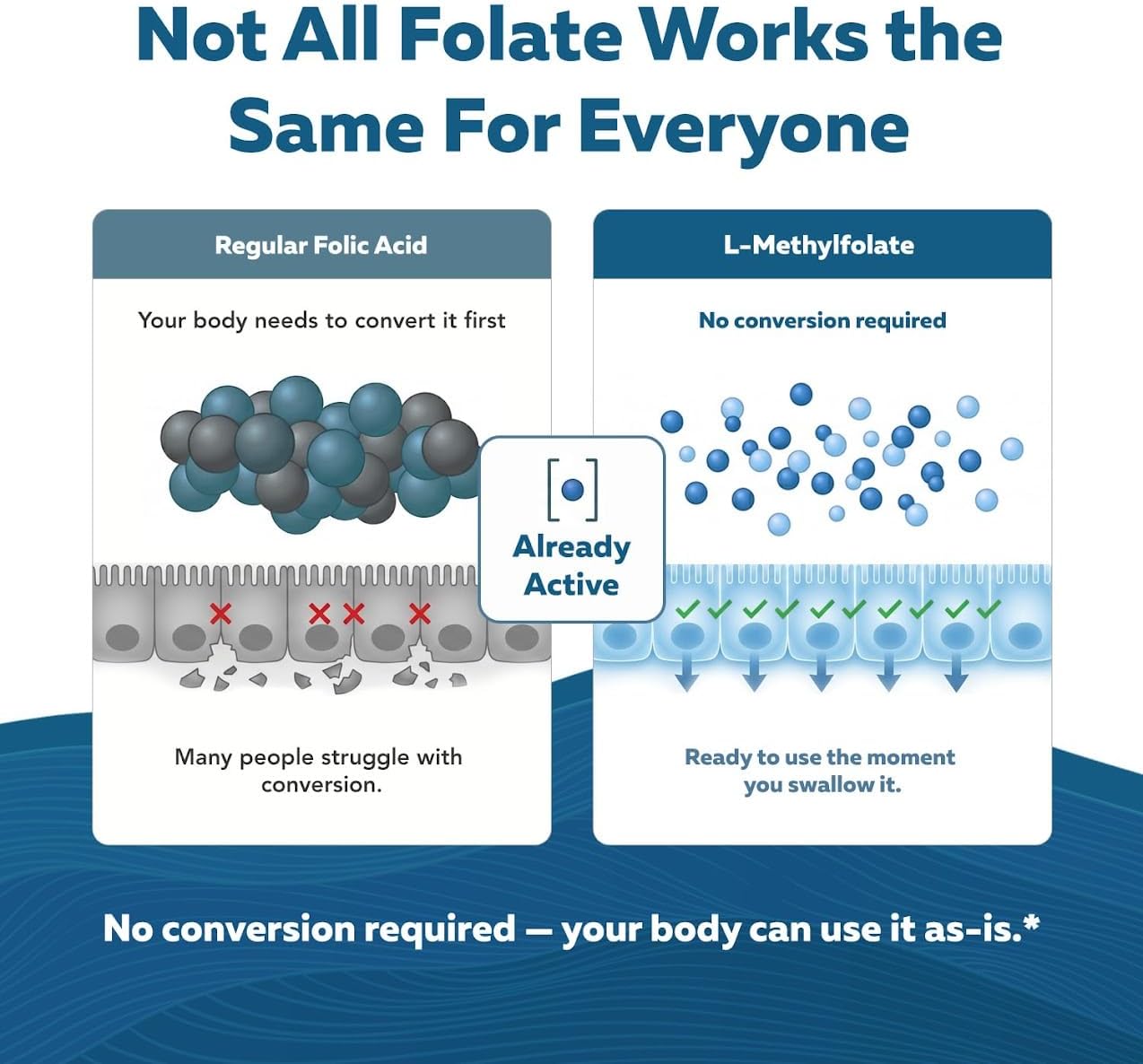 L Methylfolate 7.5 mg + Methyl B12 - 5-MTHF Activo, Complemento para Metilación, Estado de Ánimo y Cognición - 60 Cápsulas