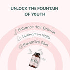 Nova Ultimate Cell Renewal - Suplemento de Espermidina con Germen de Trigo Orgánico, Zinc y Tiamina, 60 Cápsulas