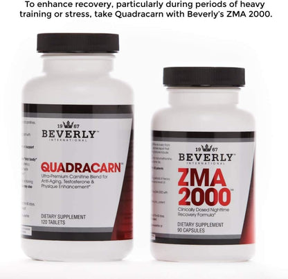 Beverly International Quadracarn 4X-Potency – Gymnema sylvestre: un extracto vegetal que, según la tradición, – Image 5