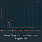 Maqui Berry, 60 cápsulas | 500mg, Extracto estandarizado (10% antocianinas)