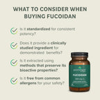 Prominent Nutrition Fucoidan 250 mg – 60 Cápsulas – Extracto de Alga Parda Premium para el Apoyo Digestivo e Inmune