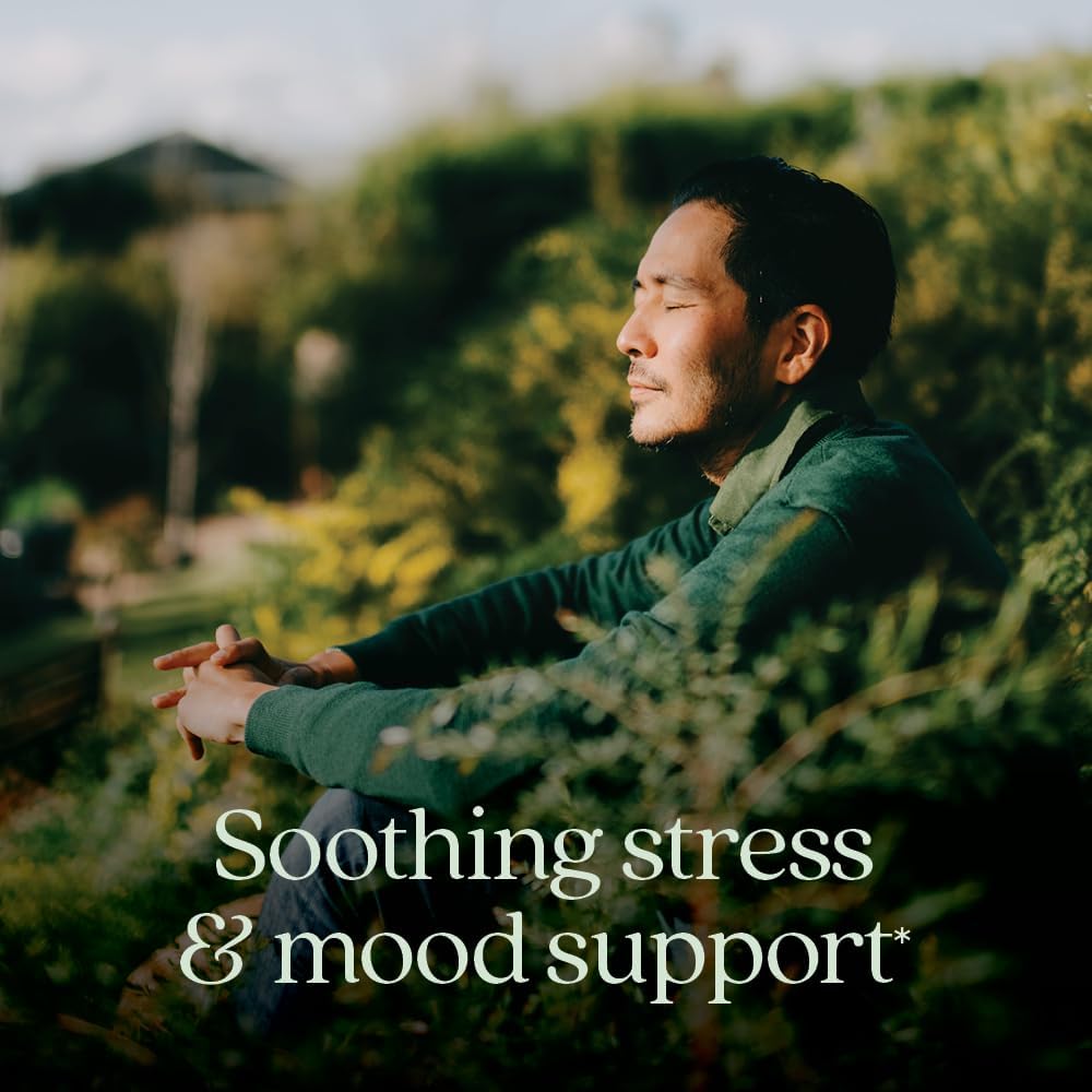 New Chapter Perfect Calm - Multivitamínico Diario para el Estrés y el Ánimo con Vitaminas B + Albahaca Santa + Melisa + Ingredientes Orgánicos - 144 Comprimidos