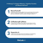 ScimeraMD® FocusMD Complemento para el Cerebro con Coffeeberry Orgánico Nootrópico, Huperzina A para Memoria, Concentración y Energía, 30 Cápsulas