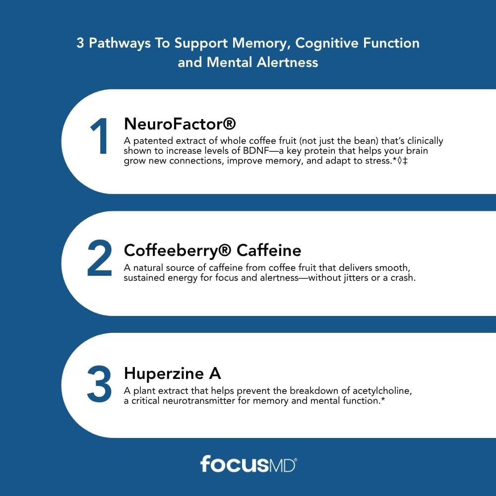 ScimeraMD® FocusMD Complemento para el Cerebro con Coffeeberry Orgánico Nootrópico, Huperzina A para Memoria, Concentración y Energía, 30 Cápsulas