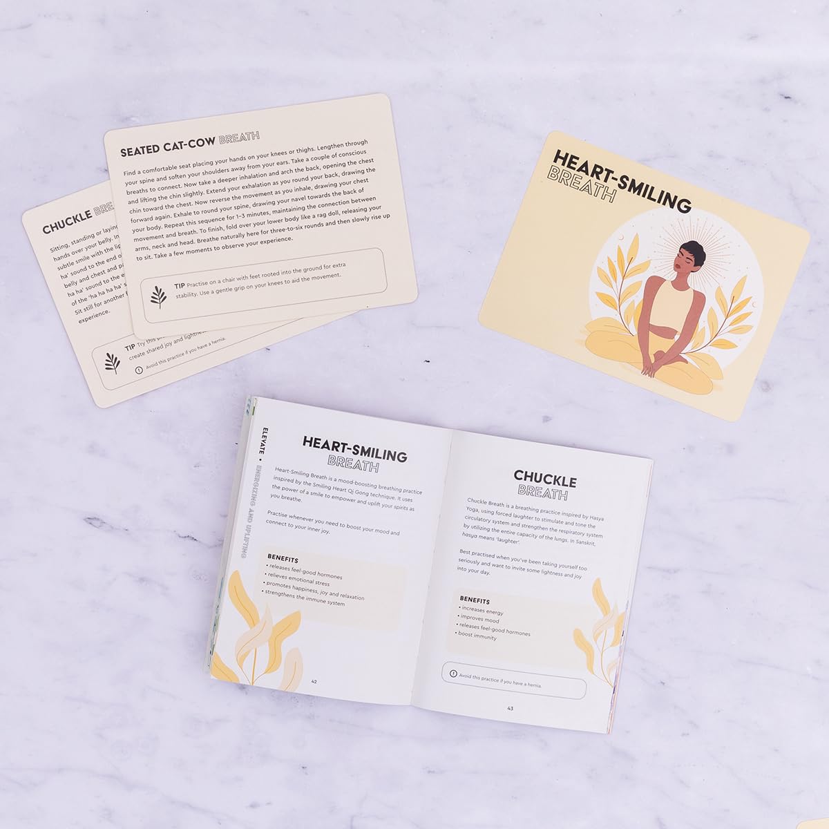 Breath Practice Cards: 50 meditaciones de respiración para mente, cuerpo y ser (Cartas de bienestar)