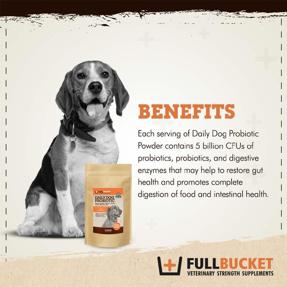 FullBucket Probiótico Diario para Perros - 150 Servicios - Polvo con Probióticos, Prebióticos y Enzimas Digestivas