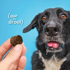 Healthy Pet Azoflora Suplemento Renal para Perros, 90 Snacks Blandos Sabor Pollo