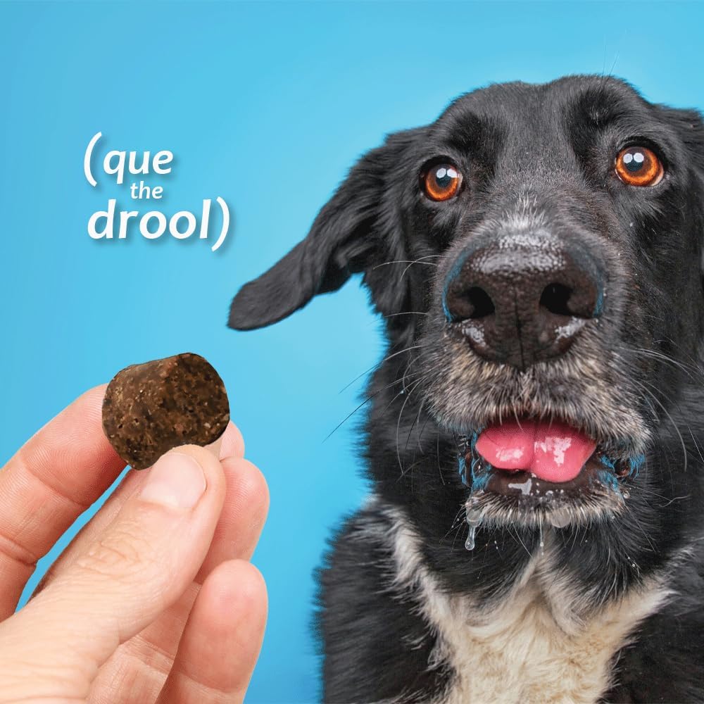 Healthy Pet Azoflora Suplemento Renal para Perros, 90 Snacks Blandos Sabor Pollo