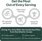 Organics Ocean Wild Sea Moss Cápsulas - Musgo Marino Orgánico con Chlorella, Bladderwrack y Vitamina D - 3 Botellas