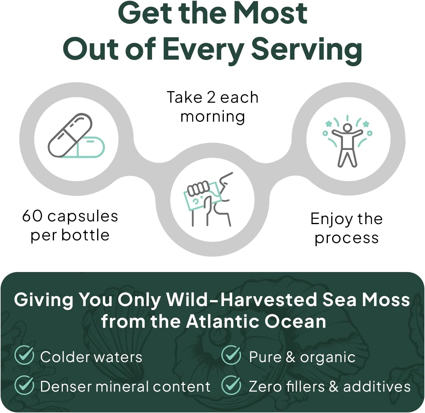 Organics Ocean Wild Sea Moss Cápsulas - Musgo Marino Orgánico con Chlorella, Bladderwrack y Vitamina D - 3 Botellas