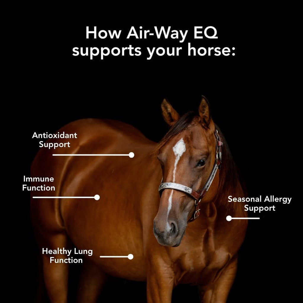 MVP Air-Way EQ - Suplemento respiratorio para caballos, 2.27 kg (40 raciones)