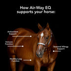 MVP Air-Way EQ - Suplemento respiratorio para caballos, 2.27 kg (40 raciones)