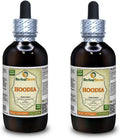 Tintura de Hoodia Gordonii - Extracto Líquido de Planta Seca (2x120 ml)