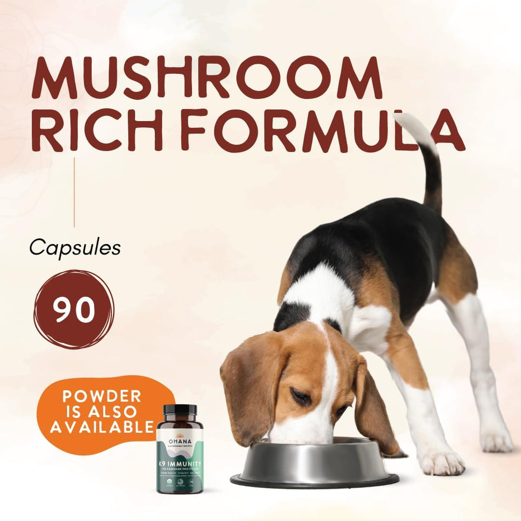 Ohana K9 Immunity – Suplemento para perros con 6 extractos de setas orgánicas USDA, 90 cápsulas