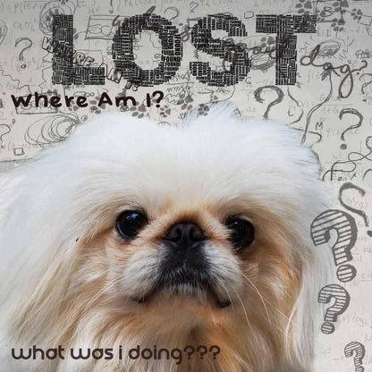 The Blissful Dog Pekingese Age Well Spray Aromatherapy – Image 5